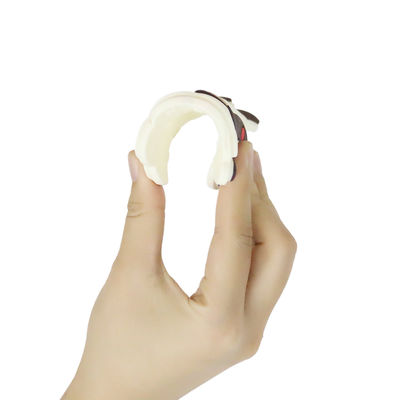 Silicón personalizado bebé colorido Teether con el caballo Dino Shape de las ovejas