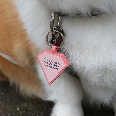Etiquetas silenciosas de silicona sin BPA de color colorido etiqueta de cuello de silicona para perros en venta etiquetas de identificación de perros de silicona únicas accesorios