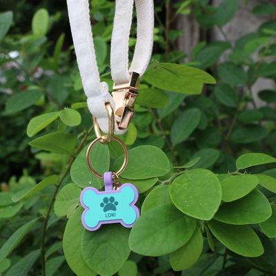 Etiquetas silenciosas de silicona sin BPA de color colorido etiqueta de cuello de silicona para perros en venta etiquetas de identificación de perros de silicona únicas accesorios