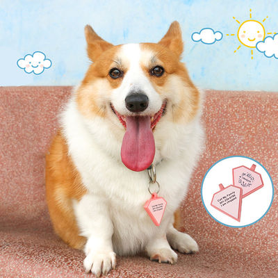PAISEN Etiquetas personalizadas personalizadas para perros Código QR grabado en 3D Perros Collar de gato Etiqueta de silicona para mascotas