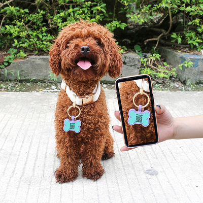 PAISEN Etiquetas personalizadas personalizadas para perros Código QR grabado en 3D Perros Collar de gato Etiqueta de silicona para mascotas
