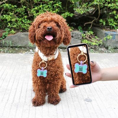 Venta al por mayor bajo MOQ forma barata diferente muchos colores para opciones silicona blanco etiqueta de perro nombre ID etiqueta