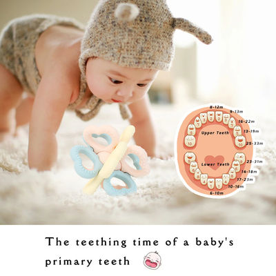 PAISEN BSCI Rattle Baby Teether Bola de juguete sin BPA Bola blanda de silicona fácil de sostener Teether para bebés de 6 meses de edad +